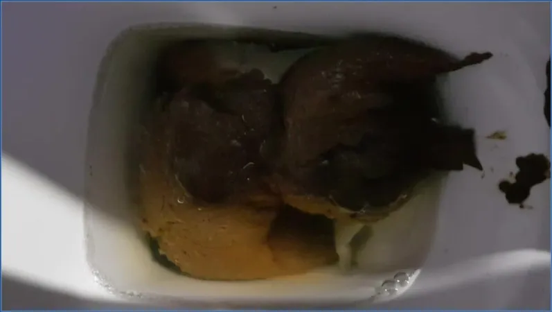 Thefartbabes serverer deg din jule-avføring rett i munnen - scat video
