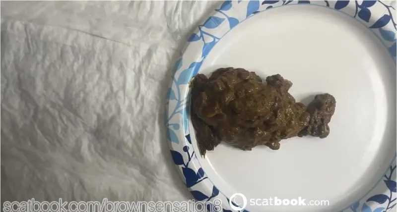 BrownSensation8 gjør seg skitten med kaviar og analdildo - scat video